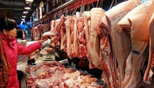 猪肉爆料视频大全集,揭秘行业真相与食品安全 第1张 猪肉爆料视频大全集,揭秘行业真相与食品安全 第1张